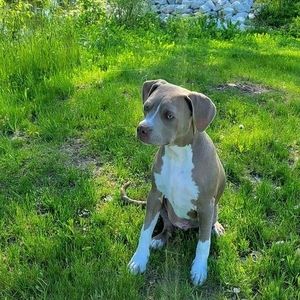 Meet your Posher, Tracey